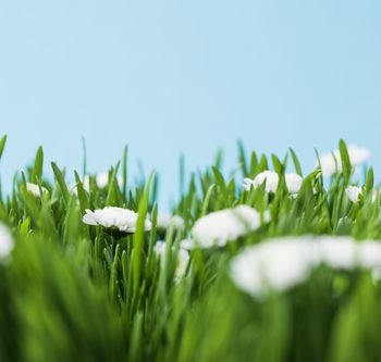 Depositphotos_184855112_s-2015